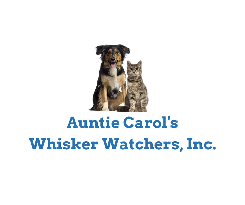 Naperville Oswego Aurora Il Pet Sitters And Dog Walkers Auntie Carol S Whisker Watchers Inc